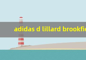 adidas d lillard brookfield